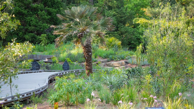 View of the beds and pathways in Garden for the Future featuring climate resilient planting